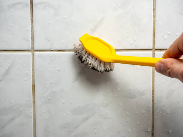 Best Professional Mold Removal  in Glenmora, LA