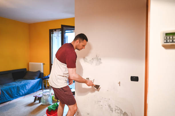 Best Mold Cleaning Services  in Glenmora, LA
